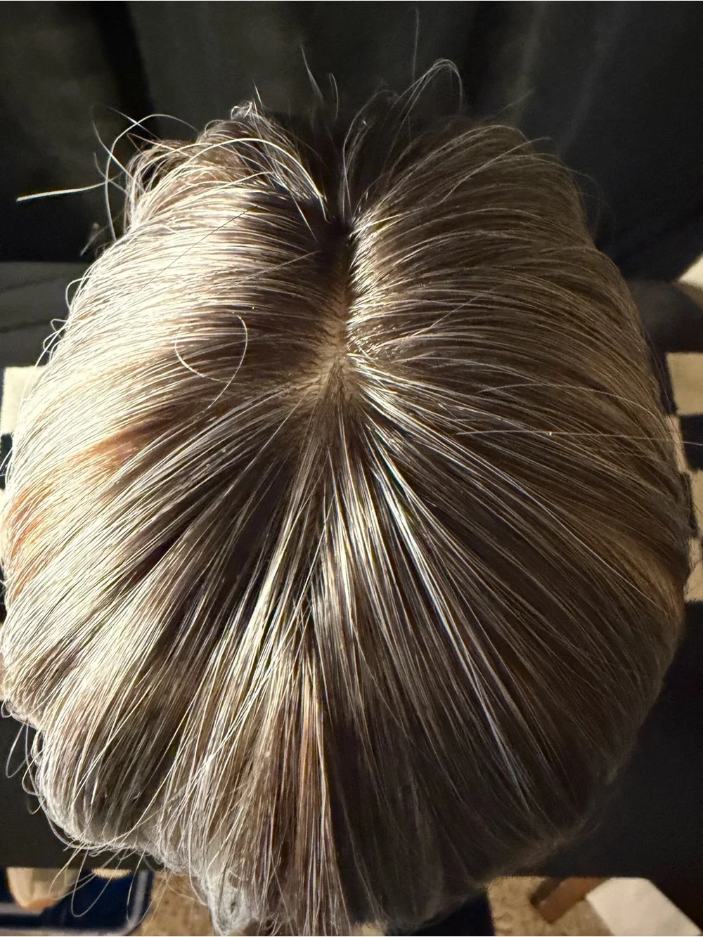 DWY Layered Synthetic Wig with Fringe - Silver Blonde Ombre